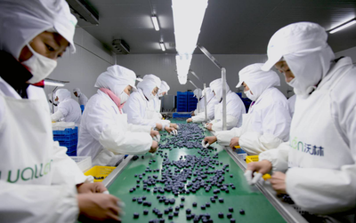 青島西海岸新區(qū)2021&ldquo;黃島藍莓季&rdquo;即將啟幕