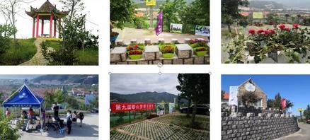 2020第十屆青島嶗山藍莓采摘節(jié)于6月5日正式開啟!致敬逆行者,免費送門票!