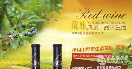 藍莓干紅(中國 青島)-山東伊春山野商貿(mào)