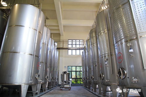 搶 雙十一 規(guī)模全國前三 西海岸本土紫斐藍(lán)莓酒不減價(jià)不狂歡 壕氣送送送