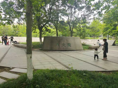 青島一日 海風、親人、藍莓酒香